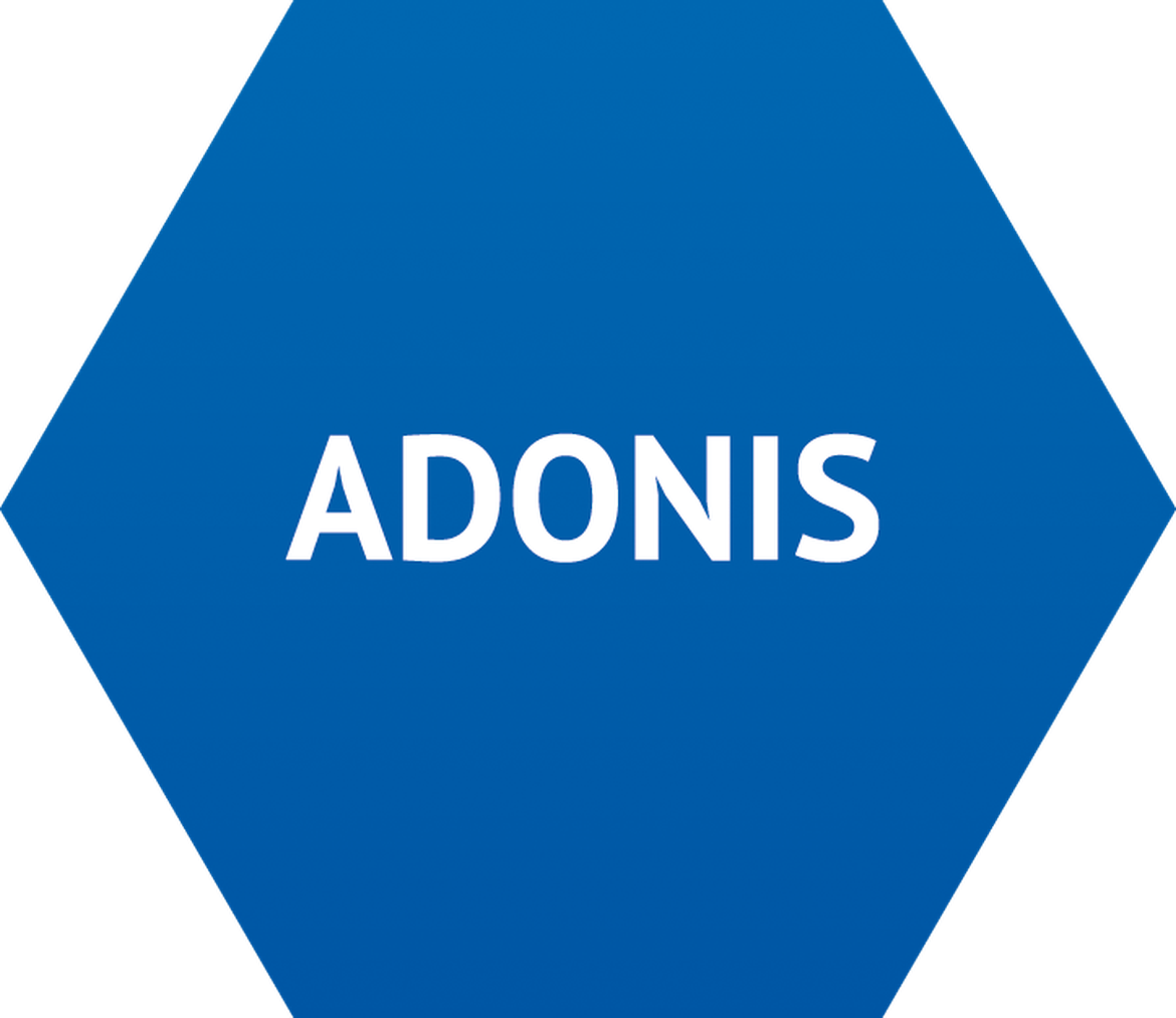 ADONIS business process management  (bpm)