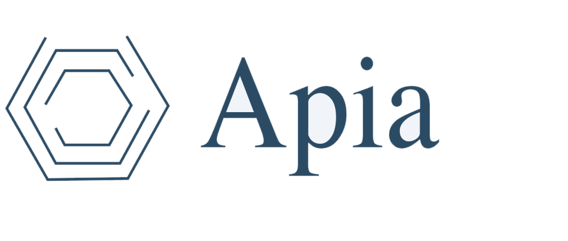 APIA BPMS arquitectura