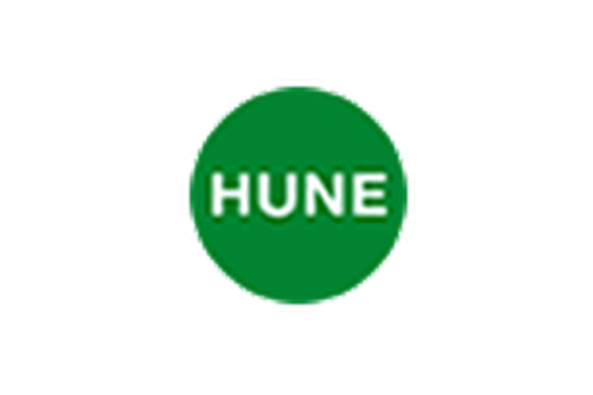Hune - Implantación ERP Microsoft Navisión
